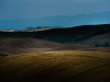 LR5_EDIT_EXPORT_WILD-FIELDS_66