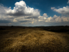 LR5_EDIT_EXPORT_WILD-FIELDS_72