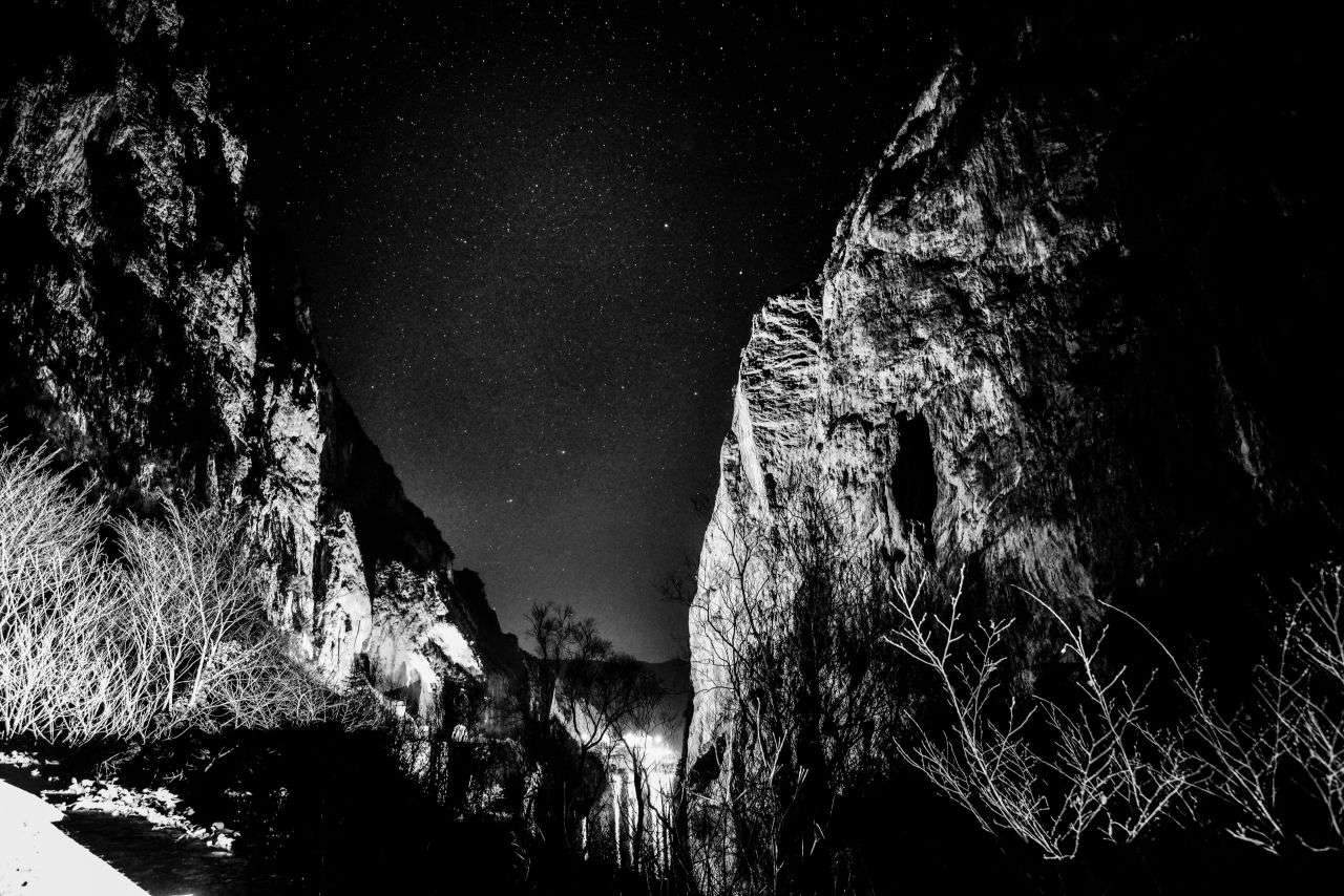 FURLO'S MILKY ©lucaromanopix