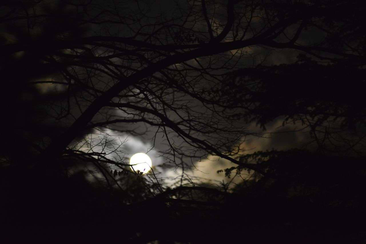 MOON ©lucaromanopix